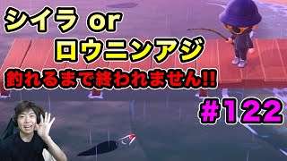 【あつまれどうぶつの森】シイラ or ロウニンアジ釣れるまで終われません！#123