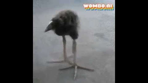 Random Big Steppa Event!!! (Beta Mix)