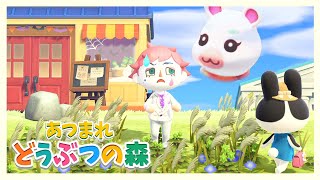 【あつまれ どうぶつの森】帰ってきたあつ森 島のみんな元気だった???【にじさんじ/ジョー・力一】