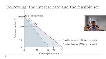 The Borrowing Decision