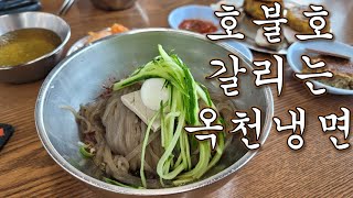 [Freedom of Opinion Food Review] The Polarizing Okcheon Naengmyeon Hwanghae Sikdang in Yangpyeong