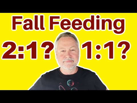 Beekeeping | How To Feed Bees In The Fall 2:1 OR 1:1 Sugar Water?