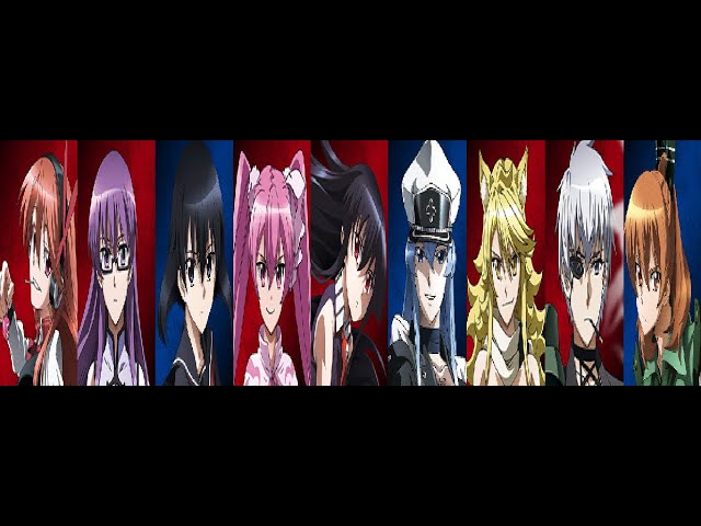 Akame Ga Kill - Which is your favourite character?