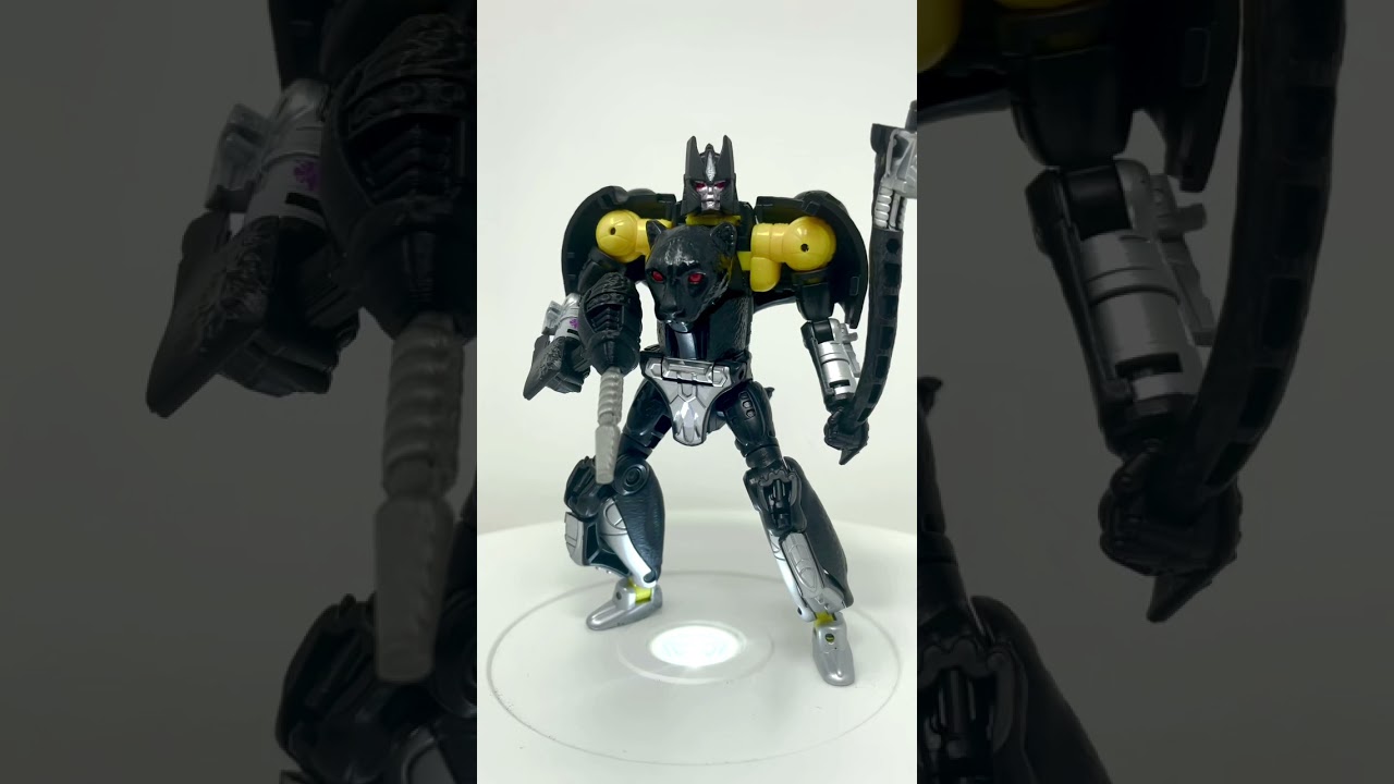 The Shadow Panther I Wanted