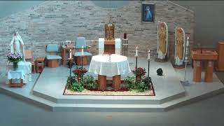 Wednesday 8AM Mass, May 20, 2026