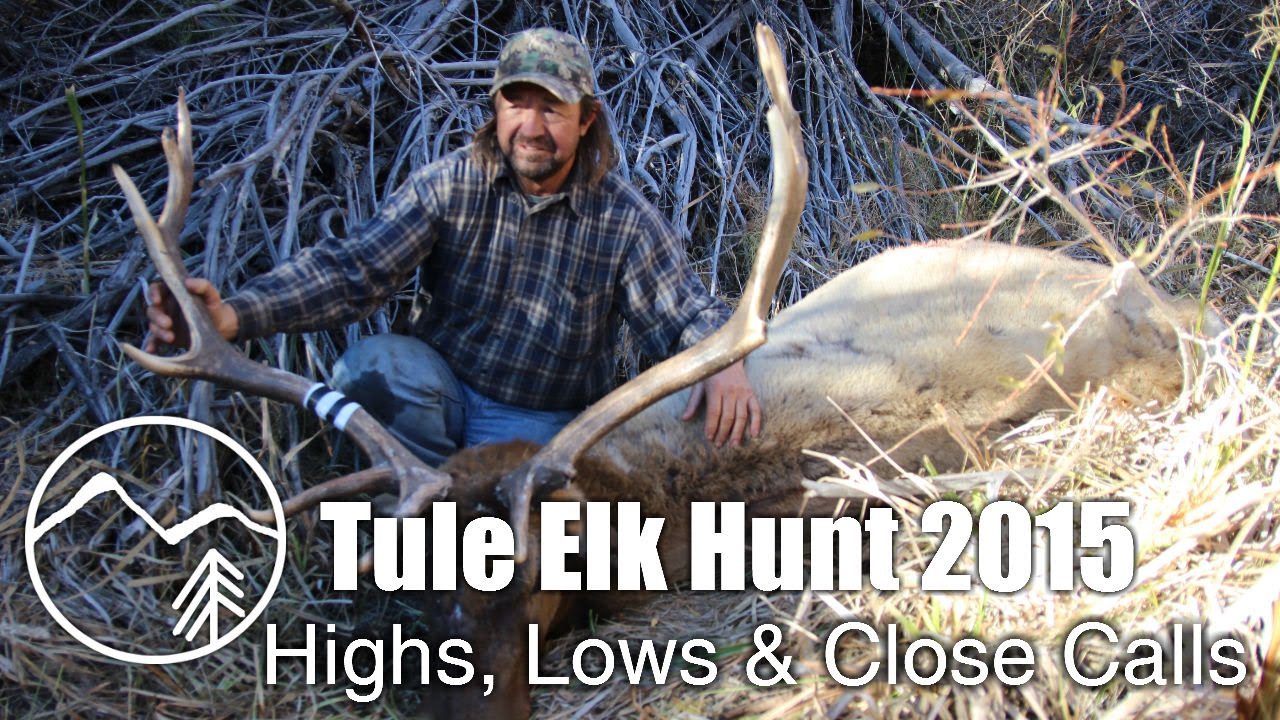 Tule Elk Hunt 2015 Highs, Lows & Close Calls Mountain Venture YouTube
