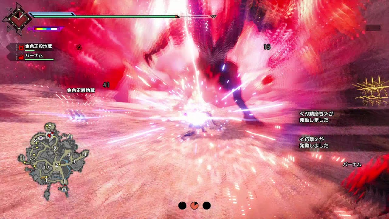 5作品目の武器使用回数カンストの儀式【サンブレイク】