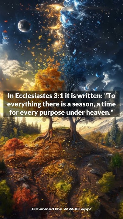 what-does-ecclesiastes-3-1-mean-in-ecclesiastes-3-1-it-is-written