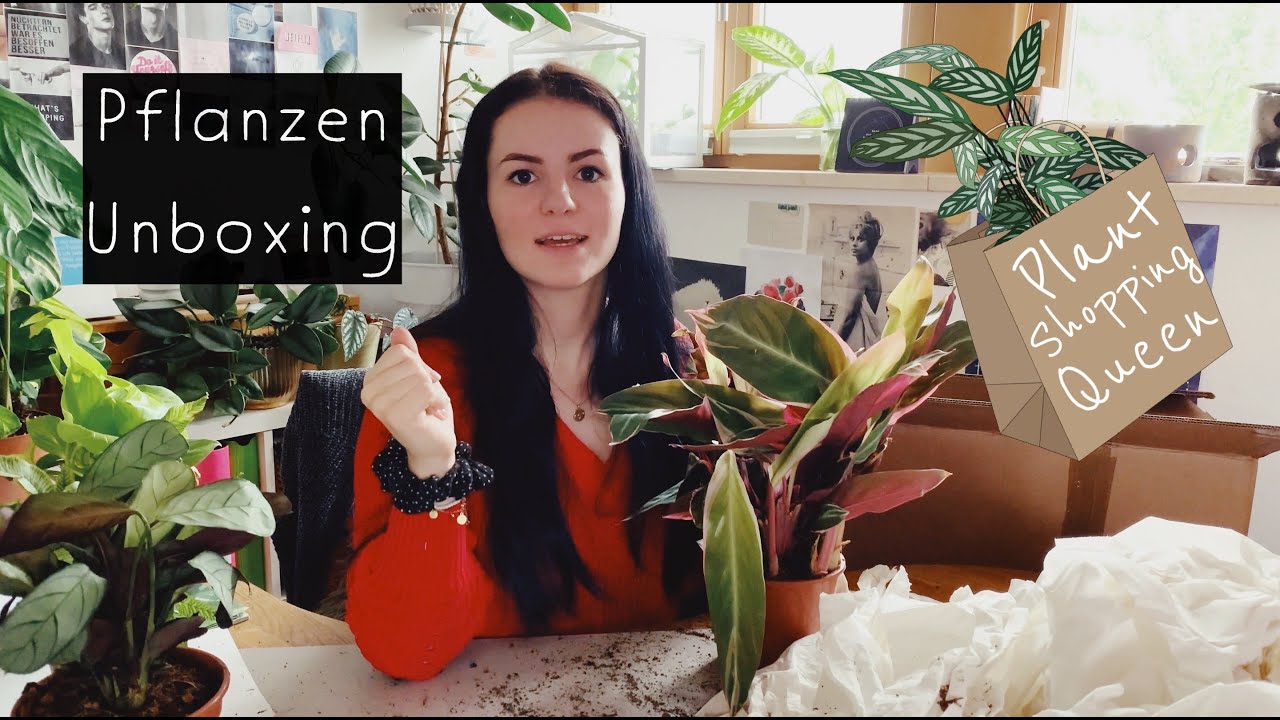 Pflanzen Unboxing Pflanzen online bestellen & 2 Wochen unterwegs