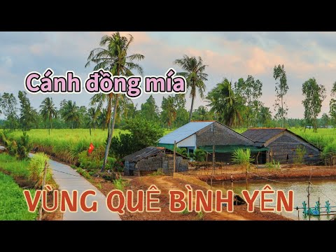 VẺ ĐẸP YÊN BÌNH TRÊN ĐẤT CÙ LAO DUNG SÓC TRĂNG KHIẾN AI CŨNG NGỠ NGÀNG 