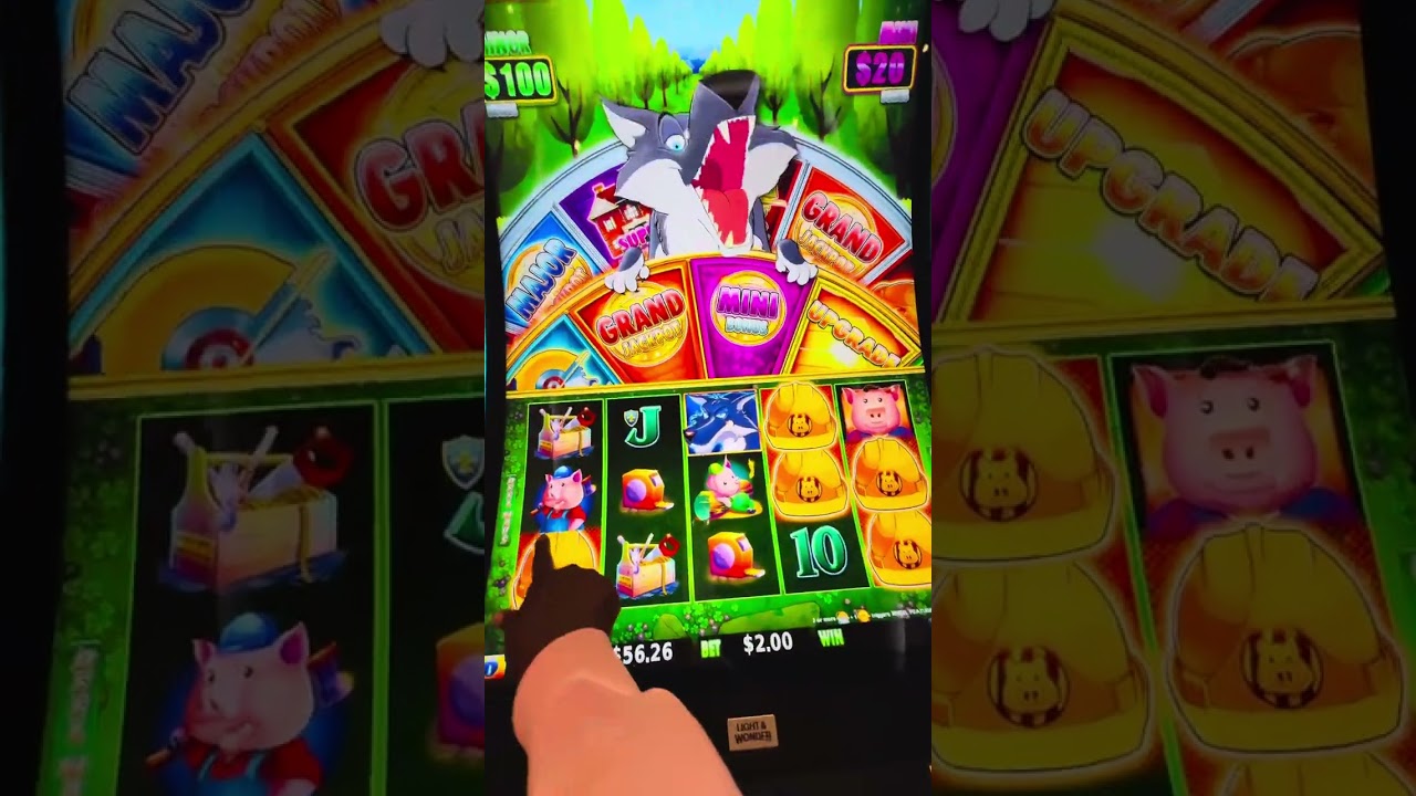 This Wolf Showed his TEETH!!! 