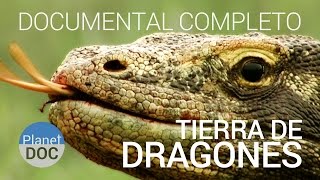 Documental Completo | El Dragon de Komodo. Tierra de Dragones - Planet Doc