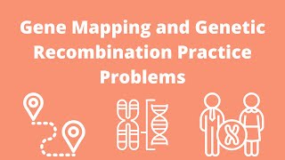 Gene Mapping and Recombination Frequency Practice Problems