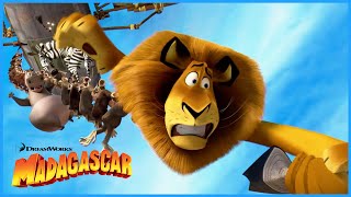 Dubois Hunts the King of the Beasts | DreamWorks Madagascar by DreamWorks Madagascar 152,006 views 4 weeks ago 7 minutes, 29 seconds