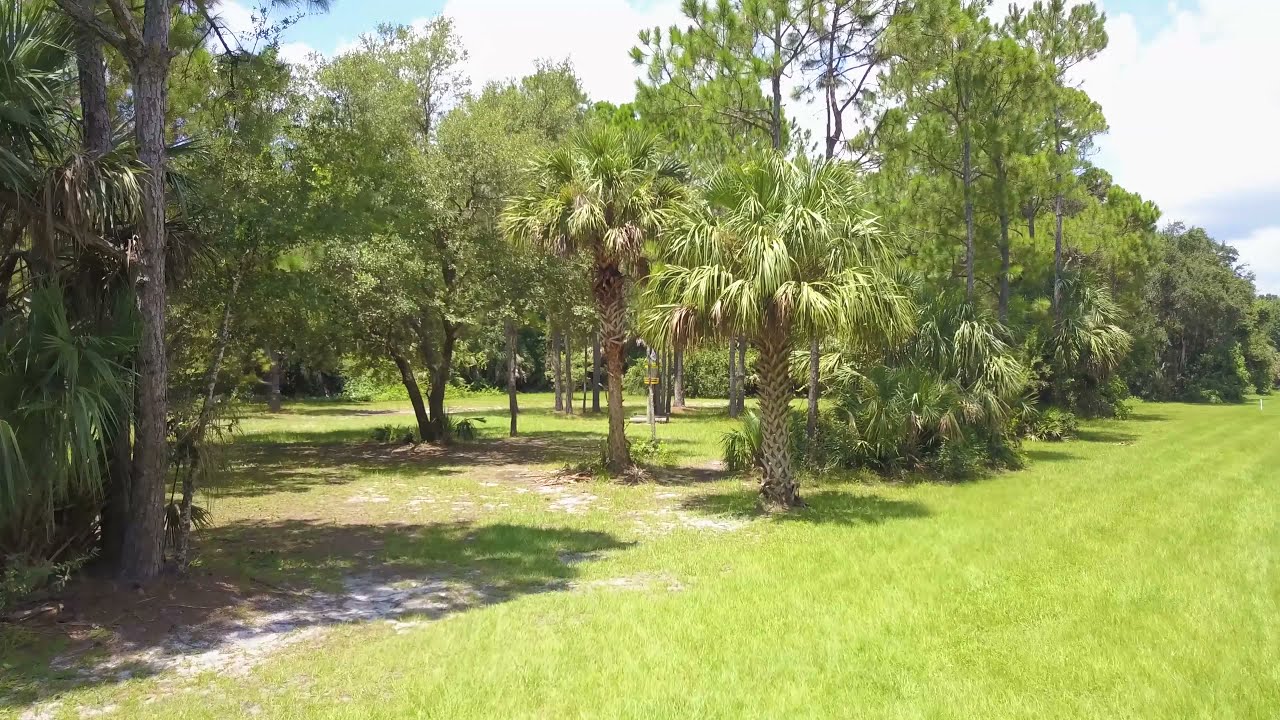 Debary Disc Golf Course / River City Nature Park Alpha Hole 15 YouTube