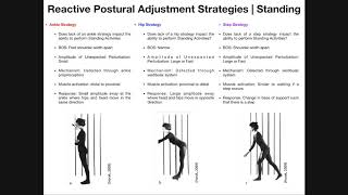 Reactive Postural Adjustments | Strategies For Maintaining Balance