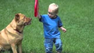 Why Sickles Market Sells Bumper Crop Organic Soil Amendment