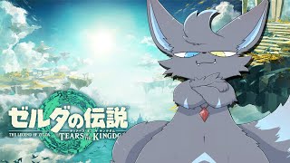 【ティアキン】去年のやり残しゲームを進めるぞ！