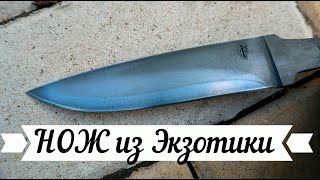 НОЖ из ЭКЗОТИКИ. Cru Forge V