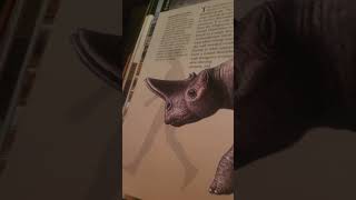 my prehistoric mammals book I got for my birthday on July 22nd.