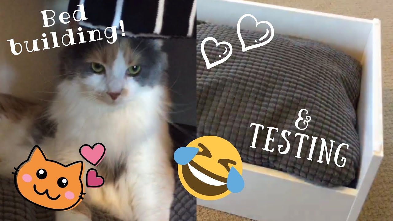 IKEA Cat Bed Test! My Building Fails W/ Funny Editing! 😂🐱