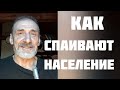 Как спаивают население /ПЛАТФОРМА ЗОЖ /