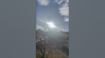 Sunset in Joshua Tree