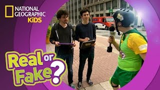 Brainiacs on the Block | Real Or Fake (Game Show)