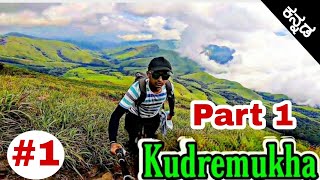 Trekking to Kudremukha (part 1) | walking in dense forest |Ep.1 |Kannada vlog | Dr Bro