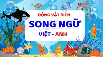 BÉ HỌC ĐỘNG VẬT BIỂN SONG NGỮ | HỌC TIẾNG ANH ĐỘNG VẬT BIỂN | SỨA  TV