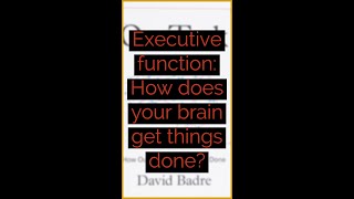 ❓ Executive function: How does your brain get things done❓