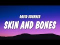 David Kushner - Skin and Bones (Lyrics) 