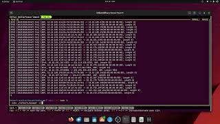 Network monitoring and Port Scanning using rust