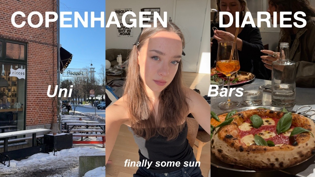 copenhagen diaries / Uni, Bars & Moving again