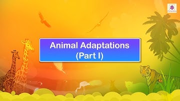 Animal Adaptations | Science Video For Kids | Periwinkle