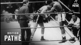 Golden Gloves - A Knock Out! (1959)