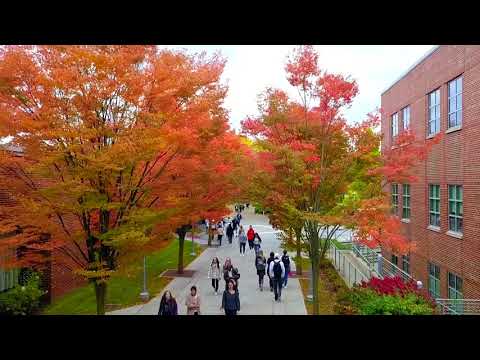 siena college campus visit