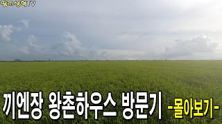 끼엔장 왕촌하우스 방문기 -몰아보기-#알탕형 #왕촌tv