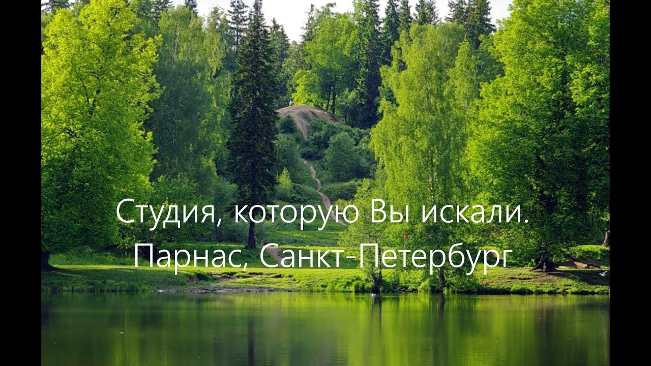парголово парк