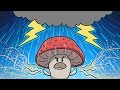 Как грибы вызывают дождь