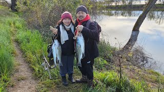 Husband and Wife Fishing Adventure , Ep. 3 - Our First Striper Limit of 2024 at Sacramento River