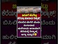 ಹುಲಿರಾಯ ಕೆರೆಯಲ್ಲಿ ಜಾಲಿ ಜಾಲಿ 😅😅