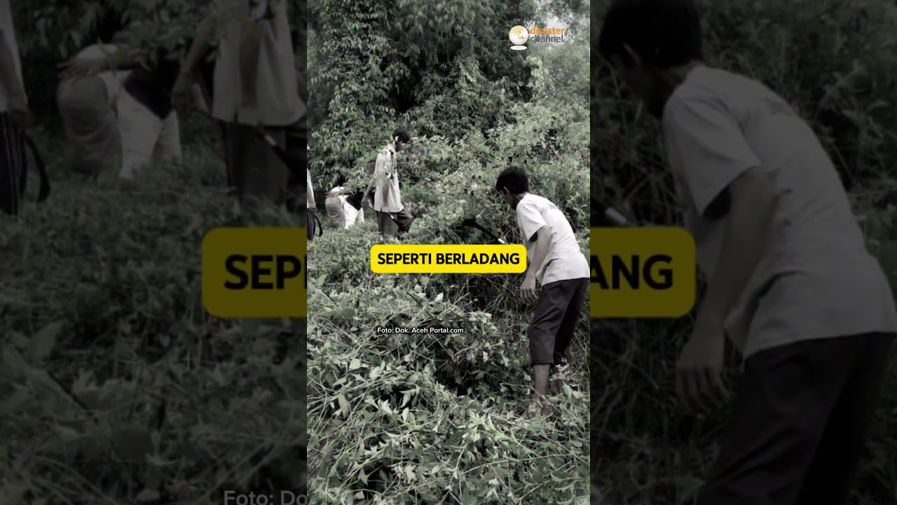 Sekat Bakar, Warisan Pengetahuan Pengendalian Karhutla.#karhutla #localknowledge #kebakaran #info