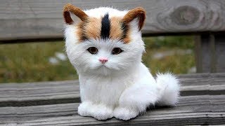 「猫かわいい」 すごくかわいい子猫 - 最も面白い猫の映画 #259