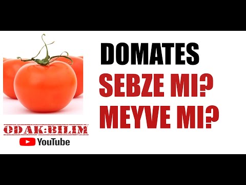 Video: Domates sap mıdır?