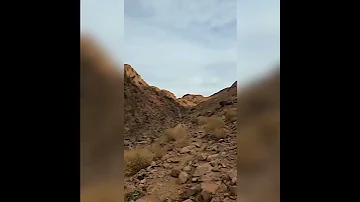 MLIMA SINAI 
