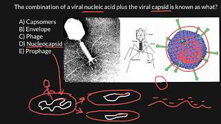 Capsomers, Envelope, Phage, Nucleocapsid, Prophage