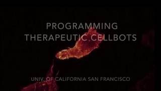 Cellbots Chase Down Cancer