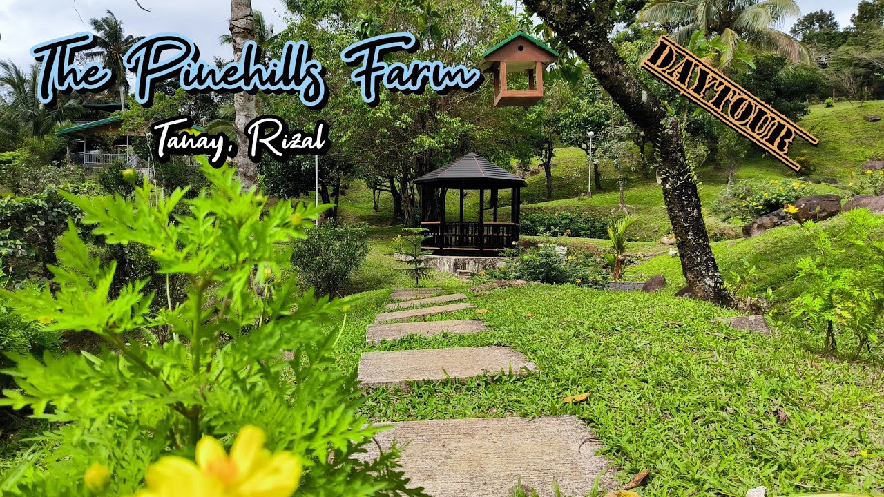 Flower Farm In Tanay Rizal Best Flower Site