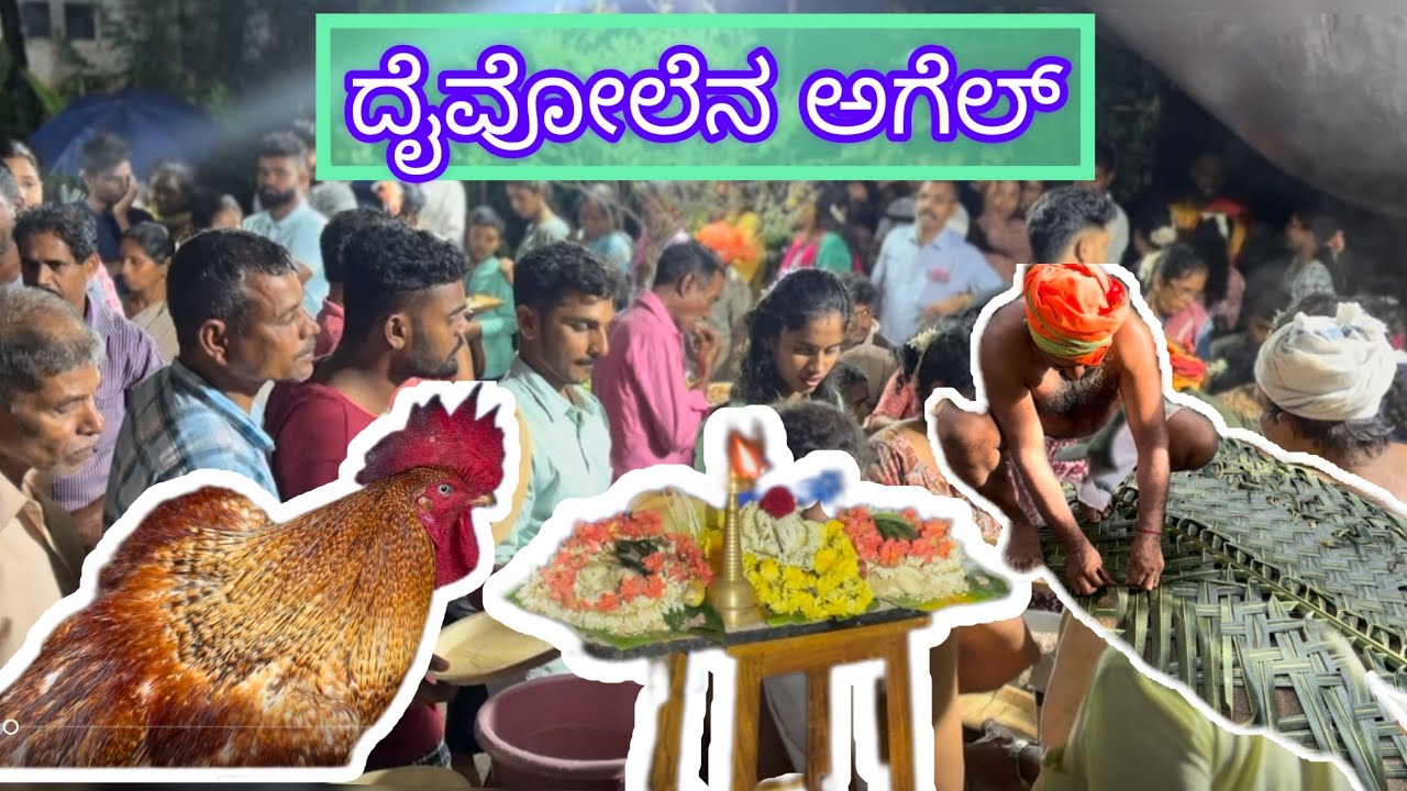 Agel da kori 🐓 malpuna  porlu🙏🐔🐓||